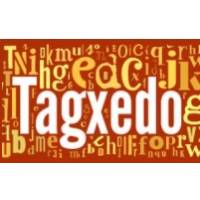 Tagxedo kelime bulutları