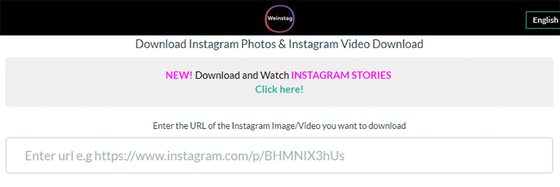 How To Save Instagram Videos Renderforest