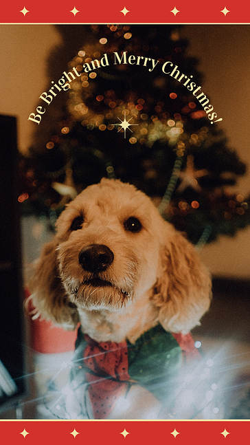 Holiday Greetings Visual Set