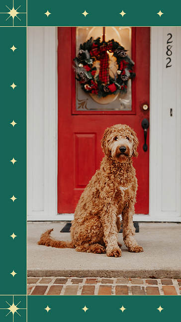 Holiday Greetings Visual Set