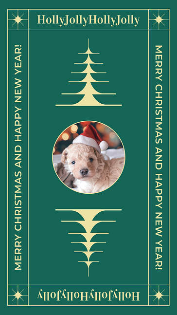 Holiday Greetings Visual Set