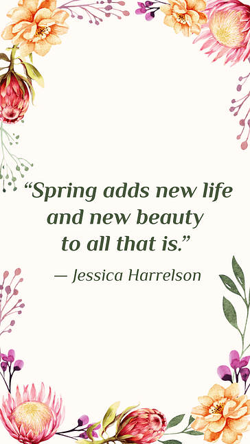 春の売り出しタイトルセット