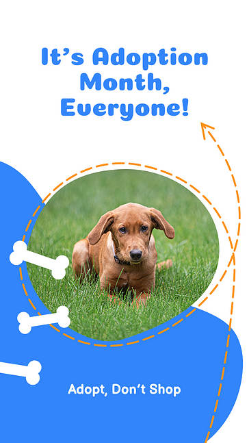 Набор дизайнов: Собаки