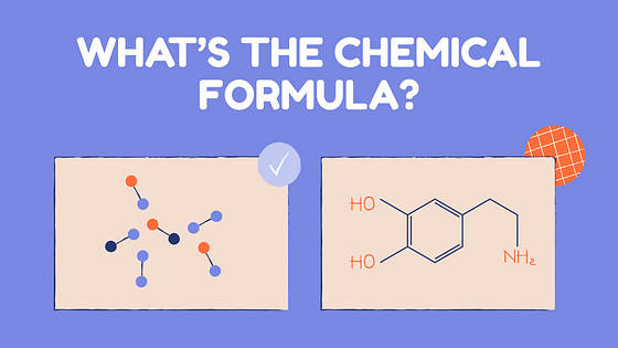 Набор слайдов: План урока