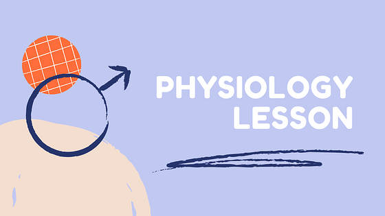 Набор слайдов: План урока