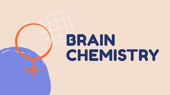 Набор слайдов: План урока