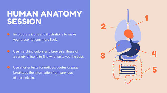 Набор слайдов: План урока