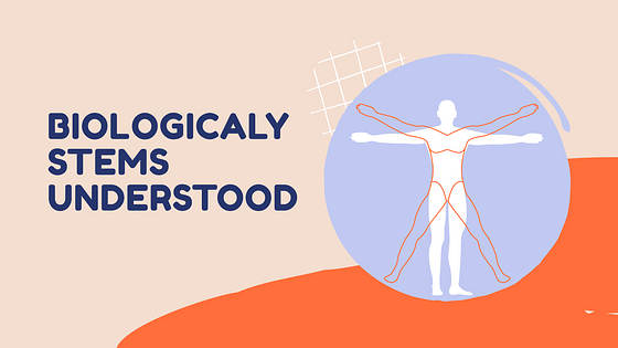 Набор слайдов: План урока