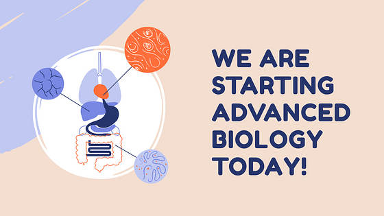 Набор слайдов: План урока