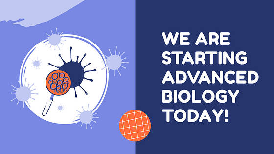 Набор слайдов: План урока