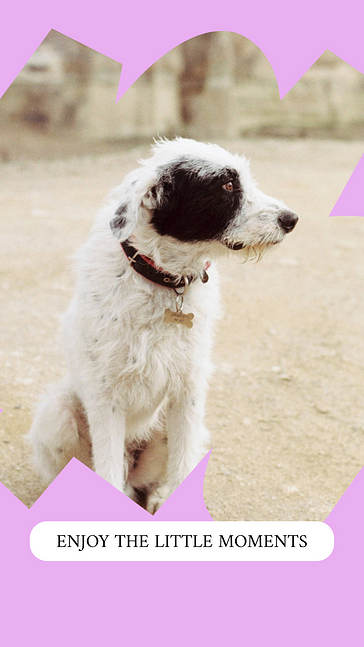 Marcos estéticos para Instagram