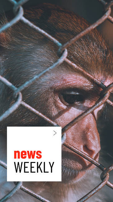 Набор дизайнов: Новостной канал