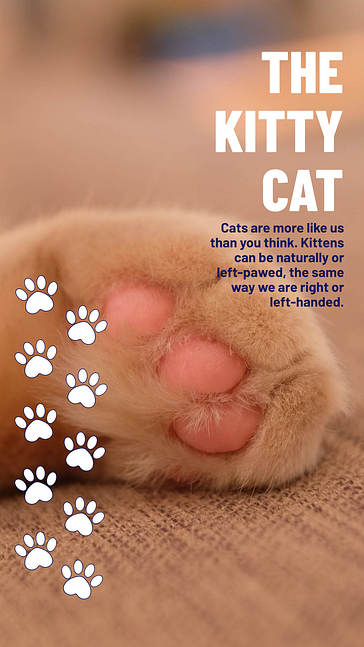 Designs Fofos com Tema de Pets