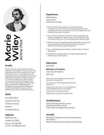 Templates de Currículos Profissionais