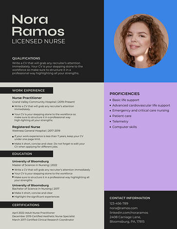 Templates de Currículos Profissionais