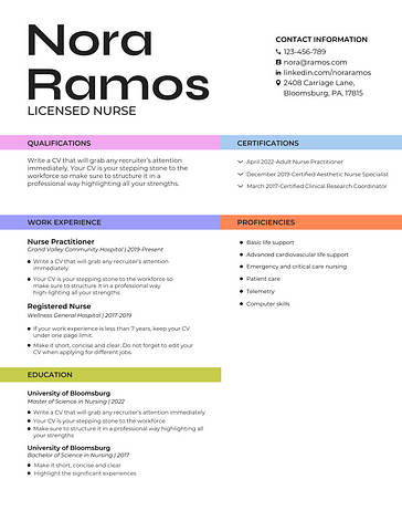 Templates de Currículos Profissionais