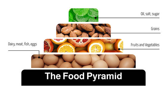 Présentation de diapositives sur l‘alimentation