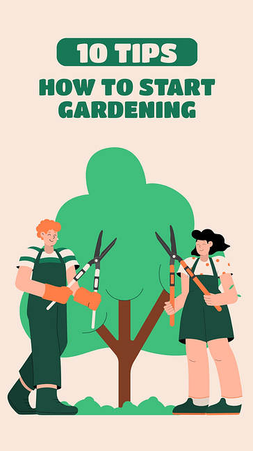 Services de jardinage SMM Pack