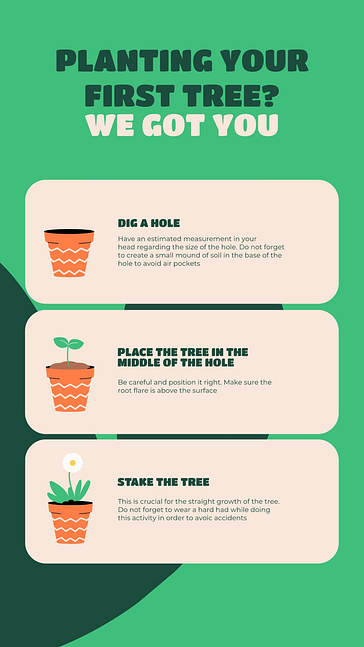 Services de jardinage SMM Pack