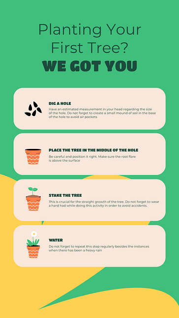 Services de jardinage SMM Pack