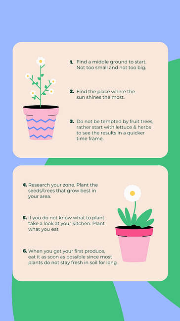 Services de jardinage SMM Pack