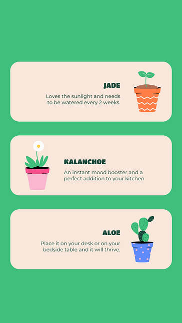 Services de jardinage SMM Pack