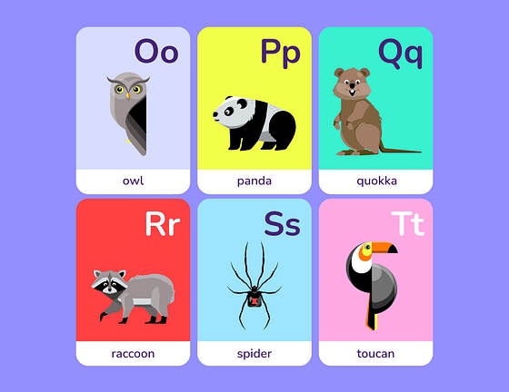 Plantillas de tarjetas didácticas coloridas
