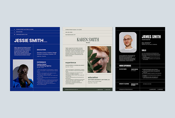 نماذج سير ذاتية عصرية