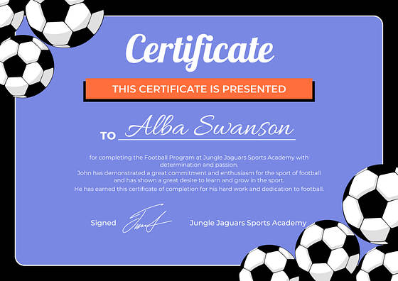 Soccer Excellence Certificates
