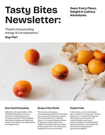 Modelos Variados de Design para Newsletter