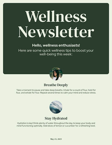 Modelos Variados de Design para Newsletter
