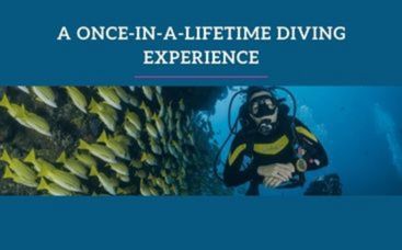 Scuba Diving Services Intro | Renderforest