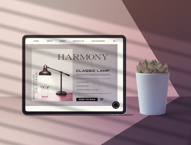 iPad avec un cactus en pot à l'ombre