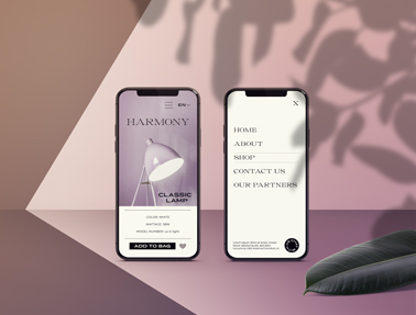 Deux iPhones sur un fond ombragé