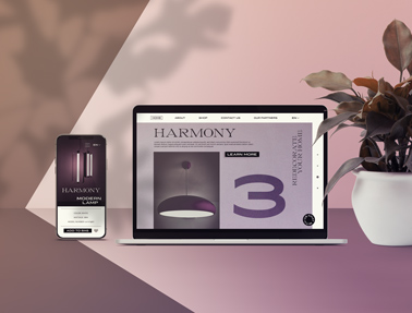 iPhone, MacBook, et un pot à plantes