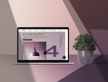 MacBook et un pot à plantes à l'ombre