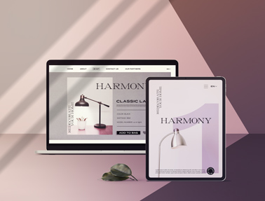 MacBook et iPad à l'ombre