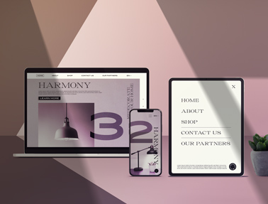 MacBook, iPad, et un iPhone à l'ombre