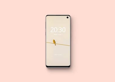 Samsung Galaxy S10 - vista frontal