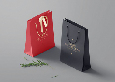 Deux sacs en papier avec une branche de sapin