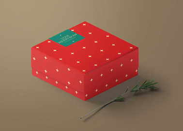 Boîte-cadeau de Noël avec une branche de sapin