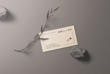 Tarjeta de visita junto a piedras y una planta