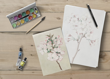 Folhas de Papel com Material de Pintura