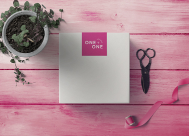 Um Pacote com Tesoura e uma Planta