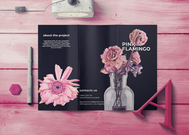 Um Folheto Aberto com Artigos de Papelaria