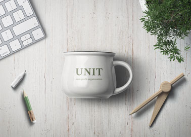 Caneca de Cerâmica com Materiais de Papelaria e uma Planta