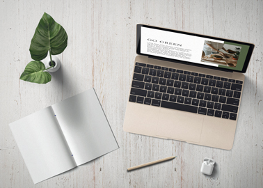 MacBook com um Caderno e uma Planta