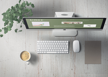 iMac e uma Planta Vista do Ângulo de Cima