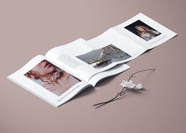 A Magazine on a Neutral Surface