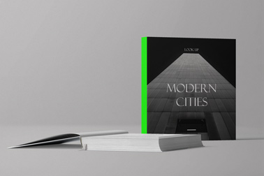 Две книги, одна лежит на серой поверхности